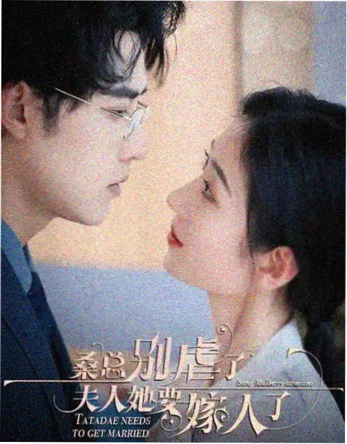 剧集光影档案封面图